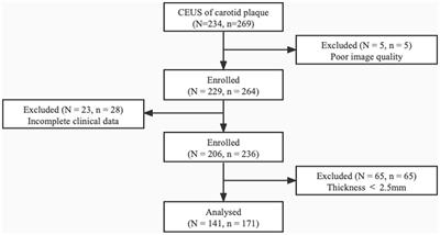 Associations of plaque morphology and location with Intraplaque neovascularization in the carotid artery by contrast-enhanced ultrasound imaging